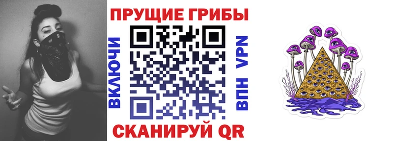 Галлюциногенные грибы Psilocybine cubensis  закладка  Щёлкино 